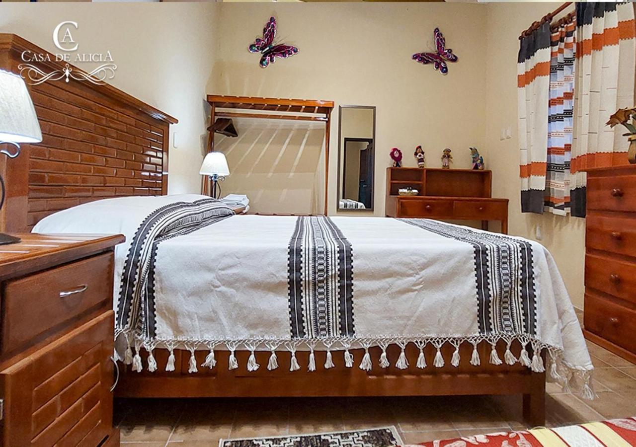 Casa De Alicia Departamento Yagul Apartment Oaxaca Екстериор снимка